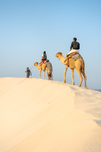 Camel riders on Zahik dunes